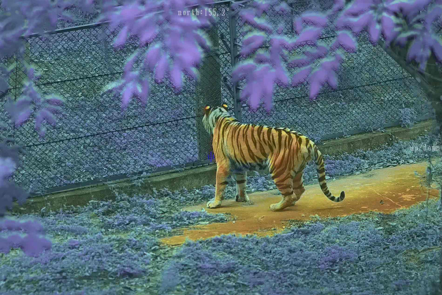 Night Fusion Thermal / Night Vision Dual-Waveband Fusion Rifle Scope FUSION-LRF